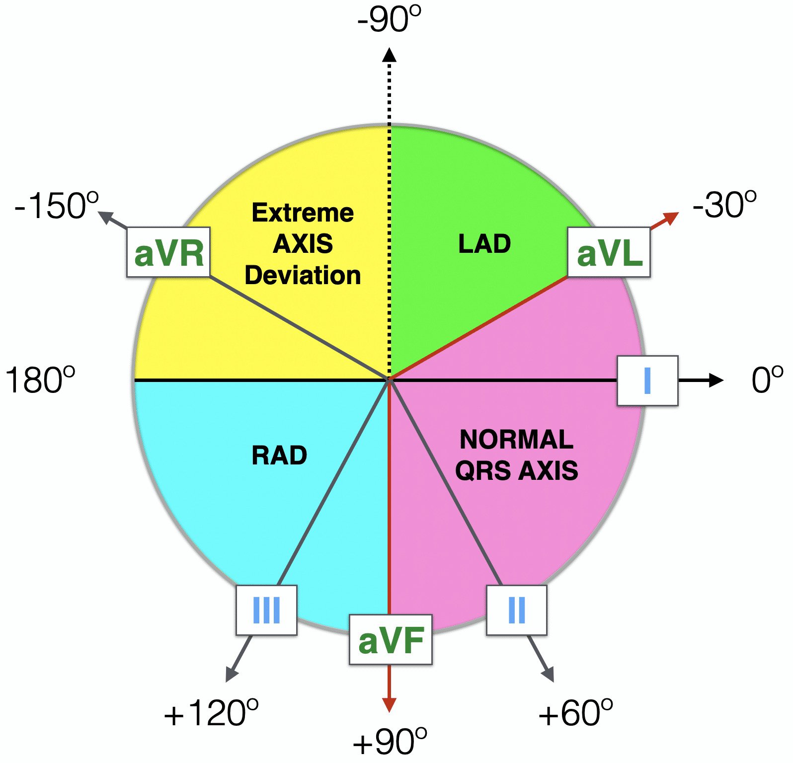 LITFL - ECG Leads and Axis ...